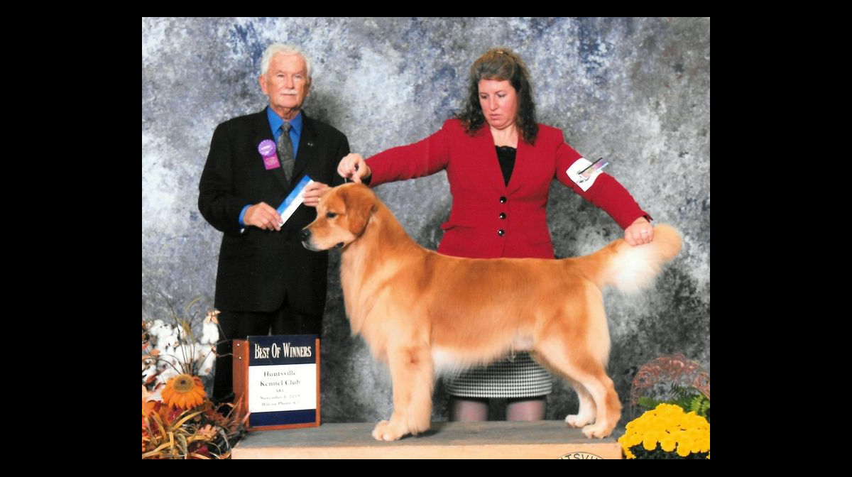 stud dog beamer