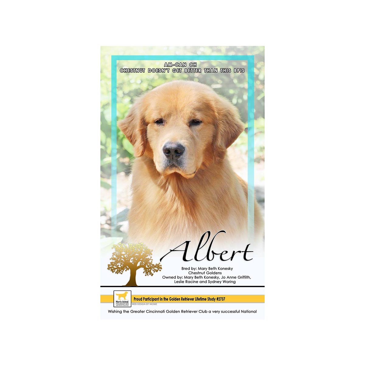 albert