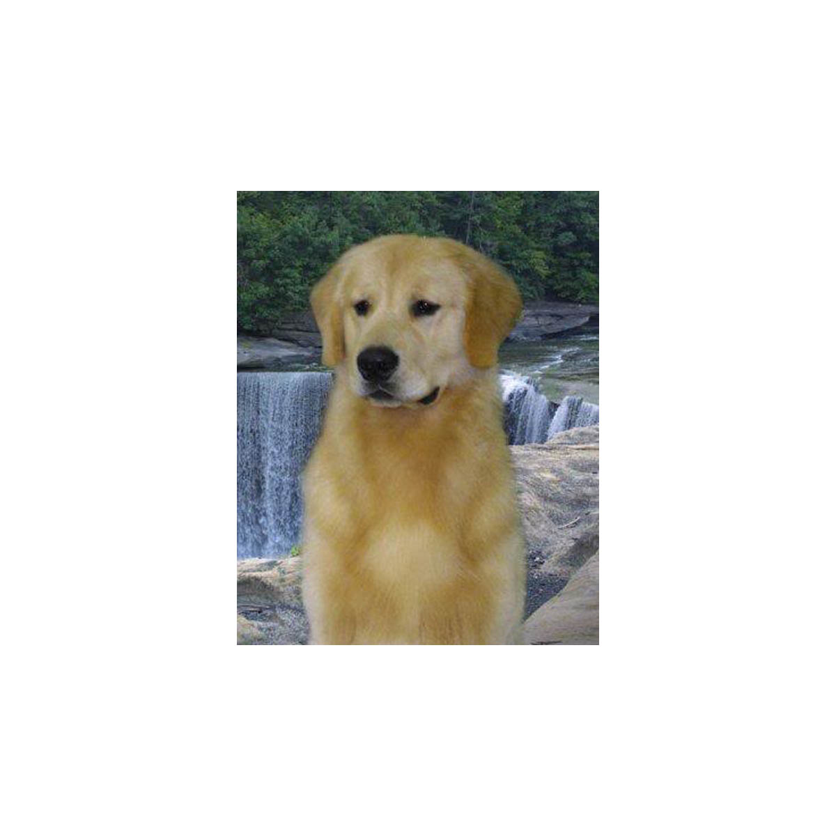 bailey
